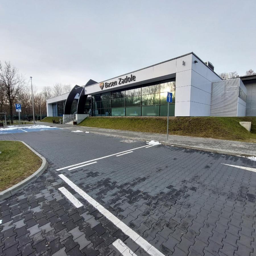 Apartment Frida Katowice Ligota Near Hospitals & Sum Luaran gambar